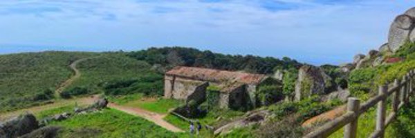 ThatuNunes Profile Banner