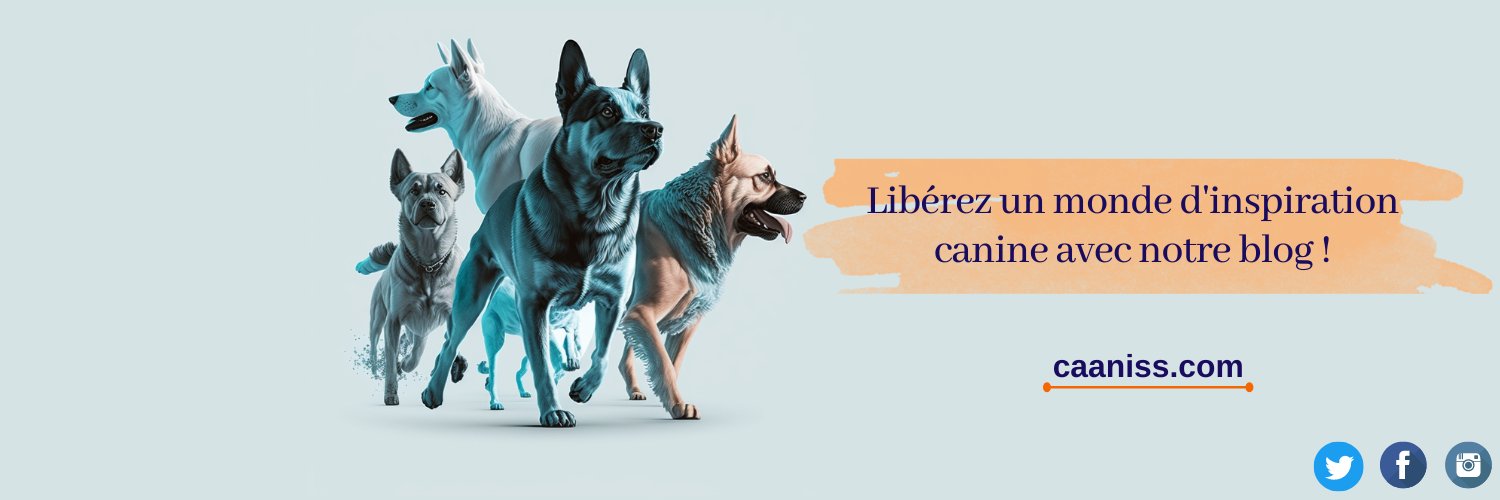 caanisslog's profile banner image