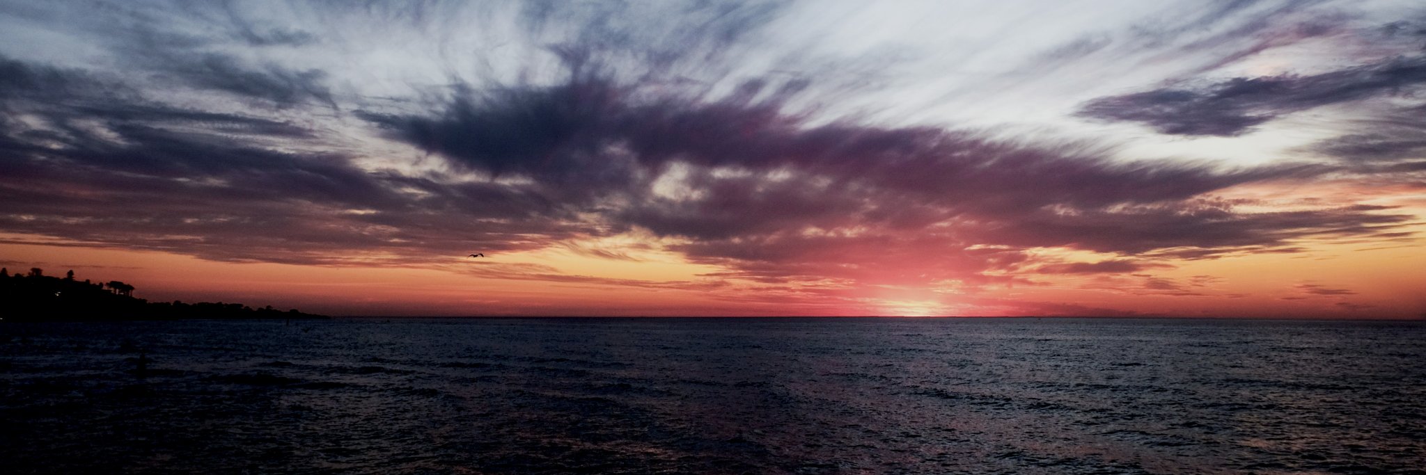 jojitpanu's profile banner image