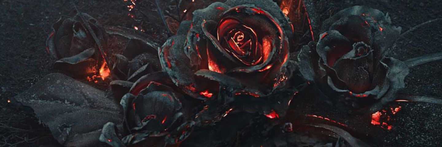Quan_YFN's profile banner image