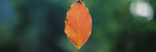 Kakaithomas2's profile banner image