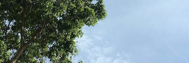 itsstela's profile banner image