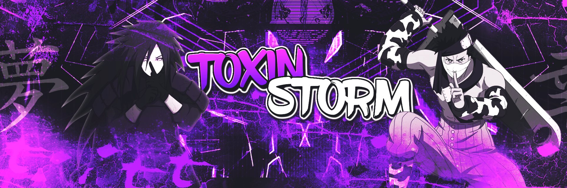 ToxinStorm's profile banner image