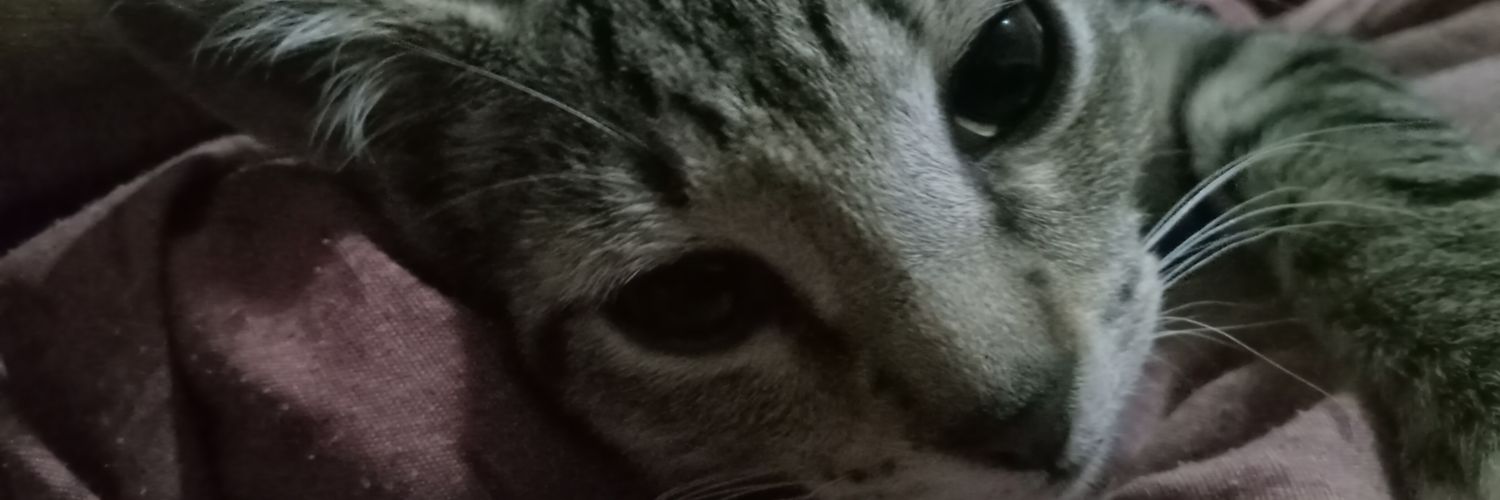 Coyotespaw's profile banner image