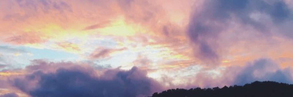 peskyybee's profile banner image