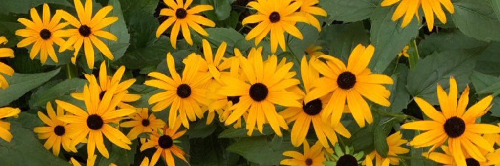 marahcortines's profile banner image