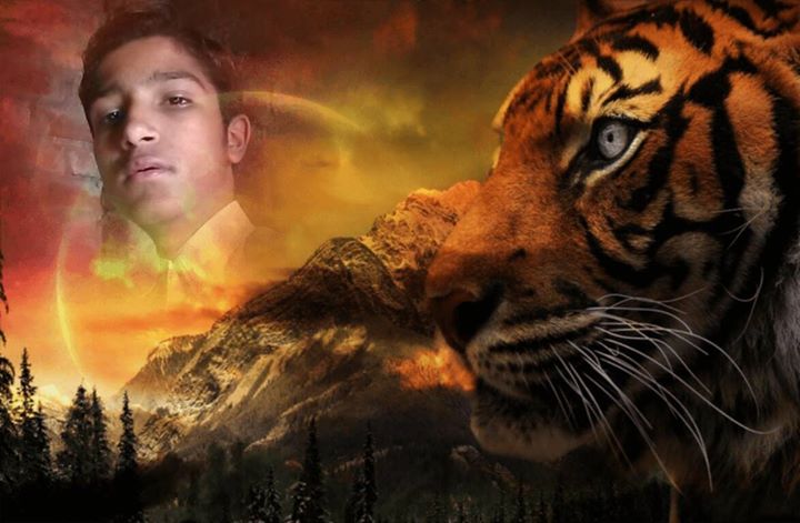compute11204203's profile banner image