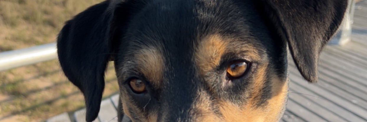 erinashmor's profile banner image