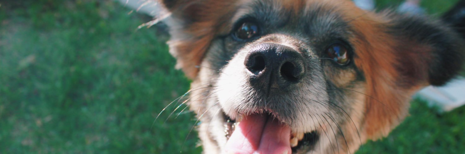 EmilyGraceFace's profile banner image