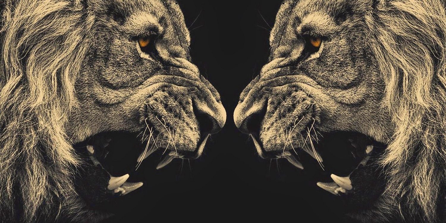 sean1838's profile banner image
