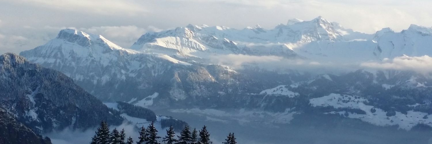 haller_c's profile banner image