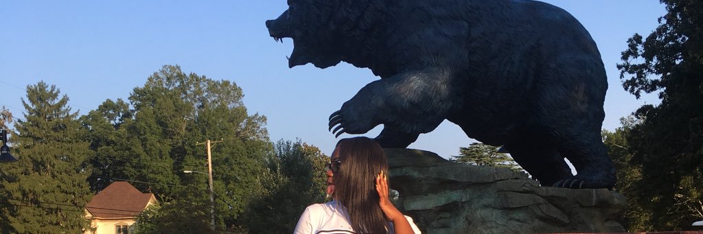 __Rhiannon___'s profile banner image