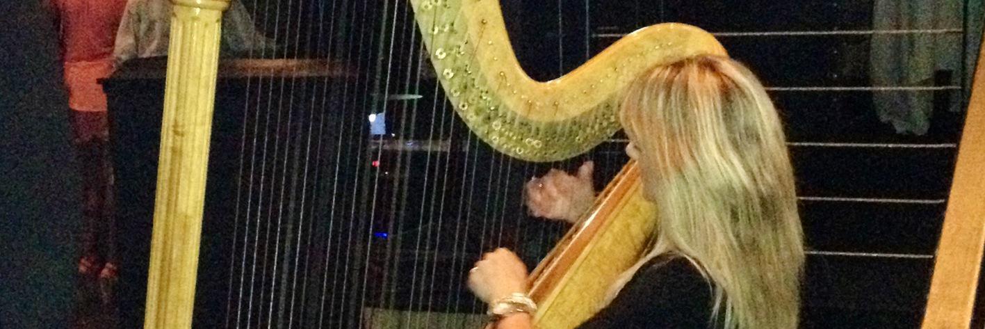 LLHarpist's profile banner image