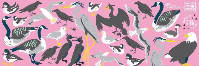 Vancouver Birds banner