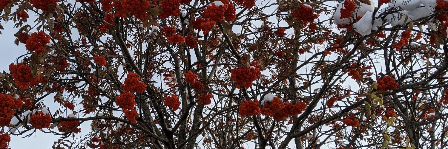 Kevin Wessman banner