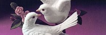owolabolu's profile banner image