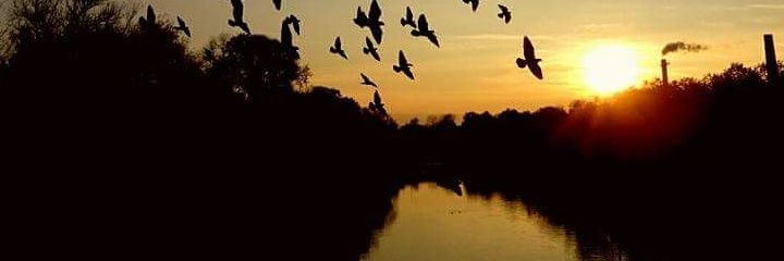 Keith_el_stein's profile banner image
