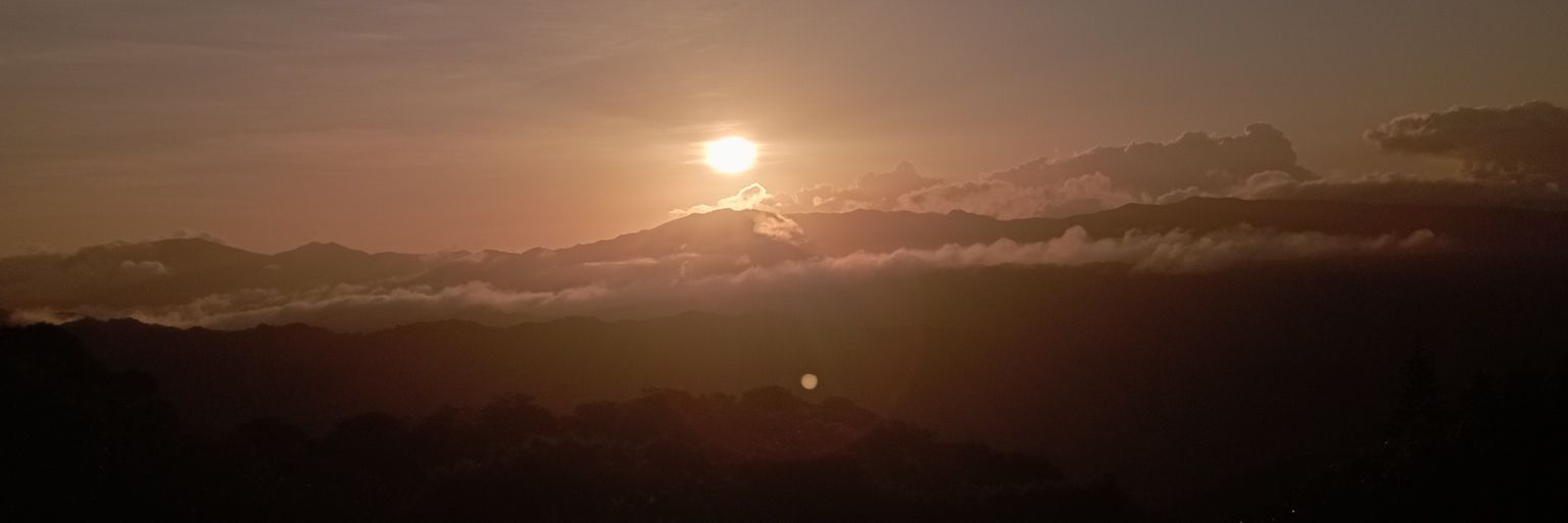 sophACM's profile banner image