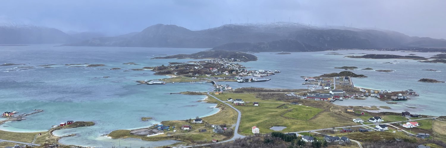 Steph Tirrell banner