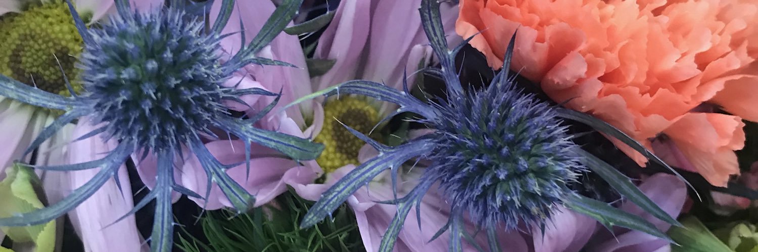AnnaCallender's profile banner image
