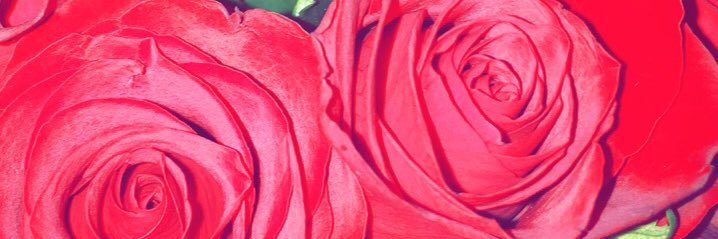 MariamJS_x's profile banner image