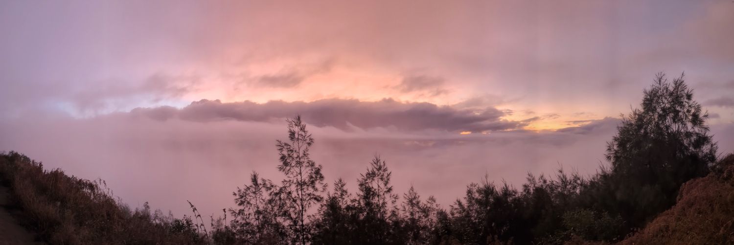 OzTruthNews's profile banner image