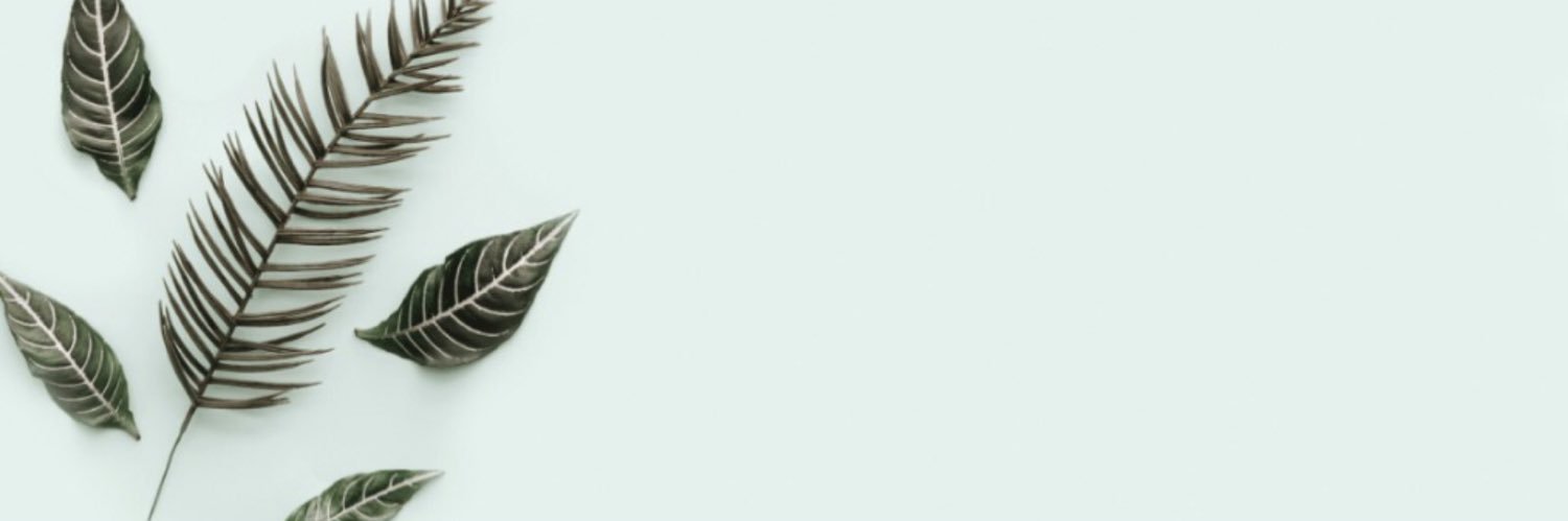 SayaghiX's profile banner image