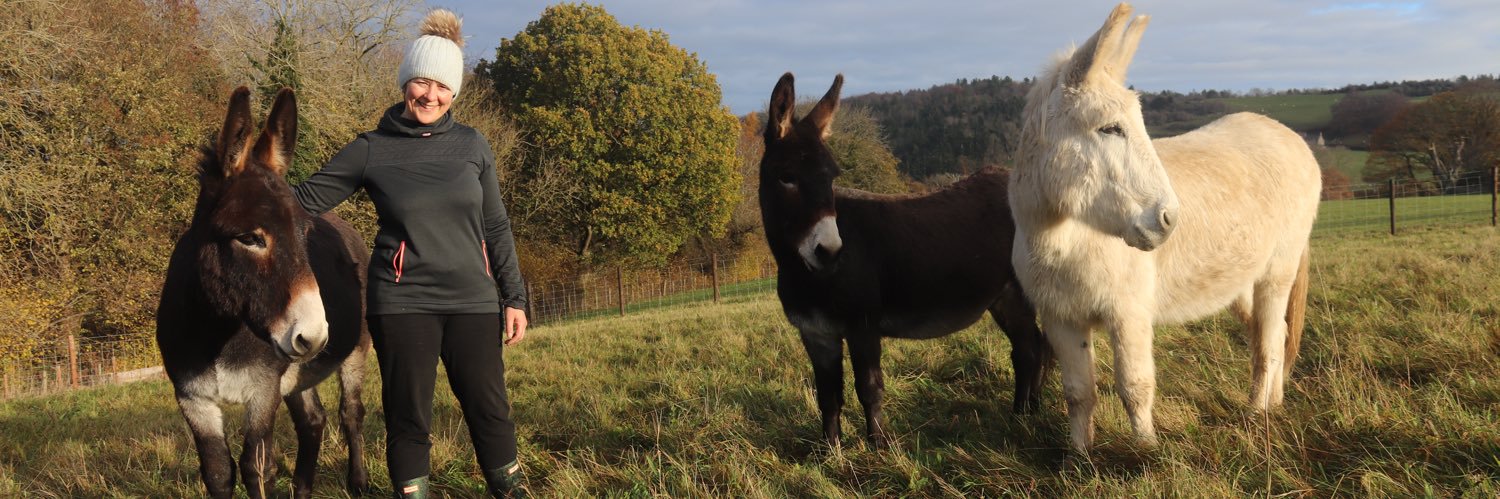 Prof Jo Meehan banner