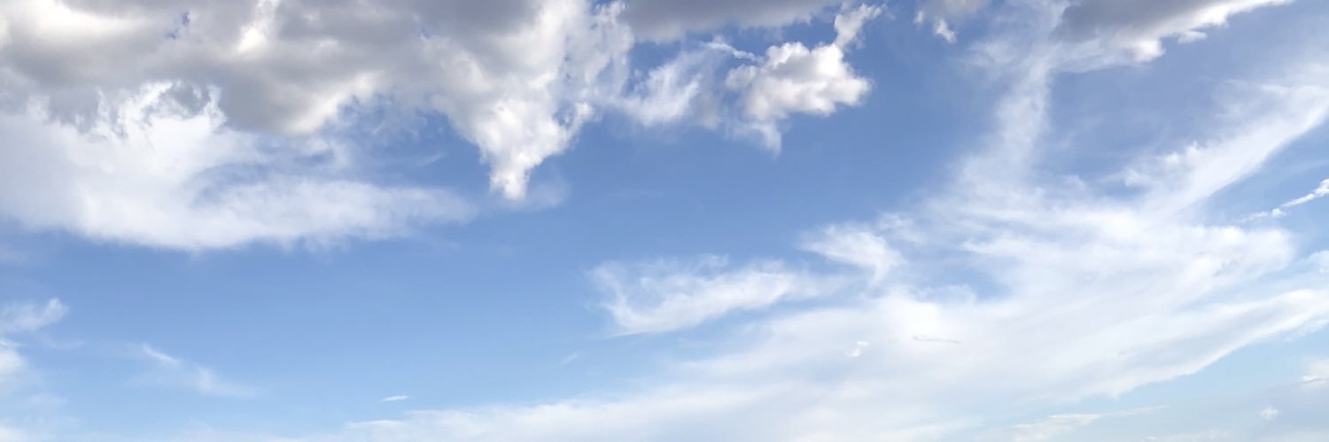 micheIIej's profile banner image