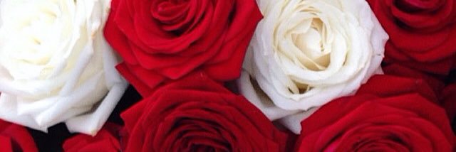 morganeagd's profile banner image
