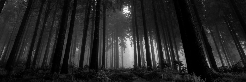 Robbie Hucker banner