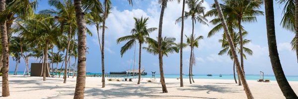 TriphopApp Profile Banner