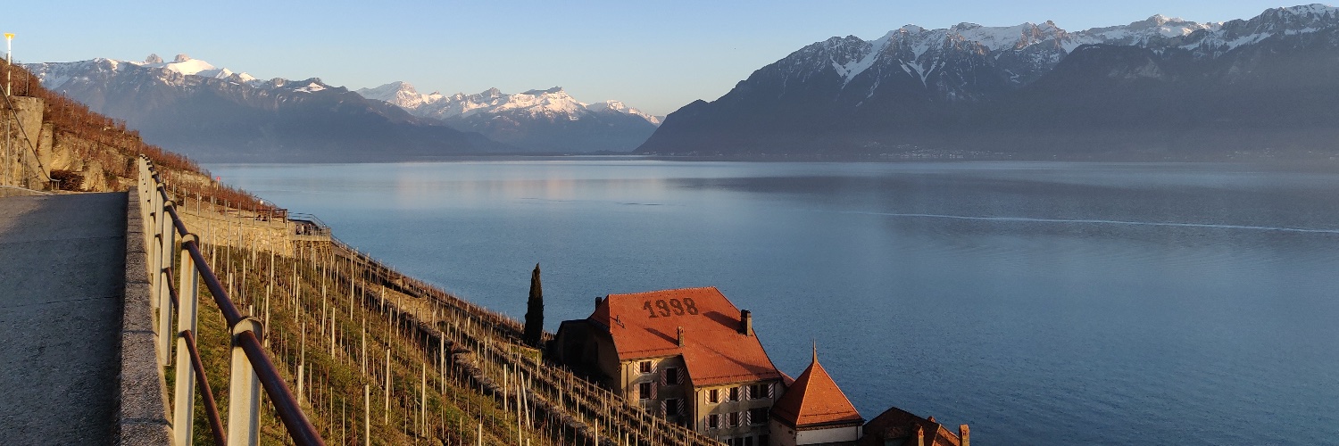 Alessandro Di Nallo banner