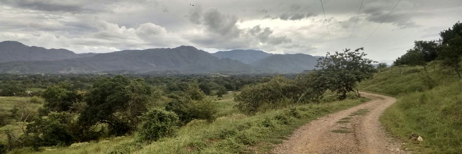 wilfaad's profile banner image