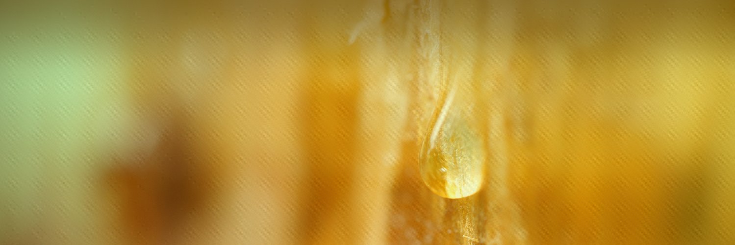 Megara Resins banner