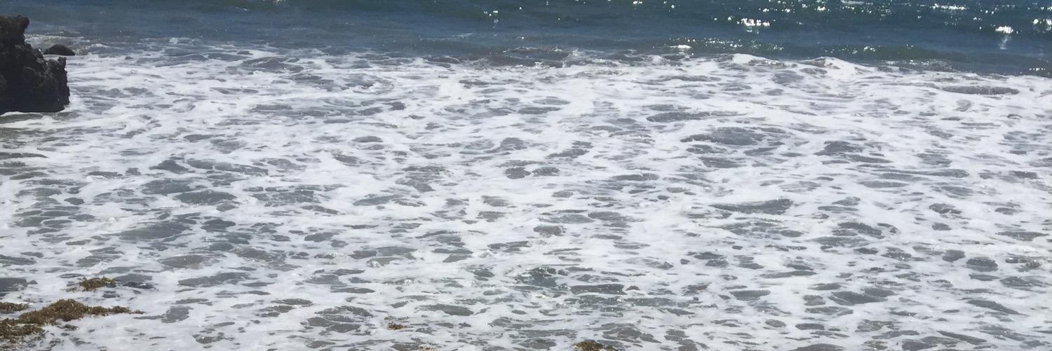 TerriApple's profile banner image