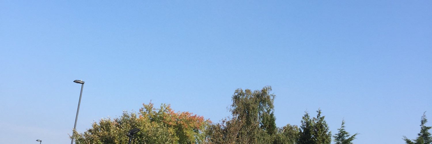 1handedgardener's profile banner image
