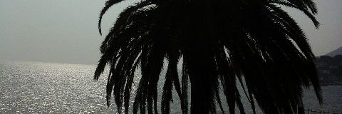beatriceand1's profile banner image