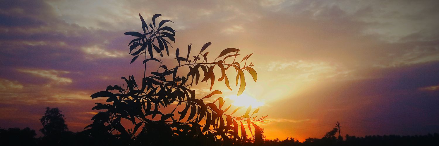 KDigaskar's profile banner image