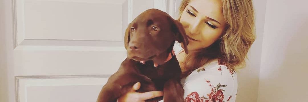 ThatSchenkGirl's profile banner image
