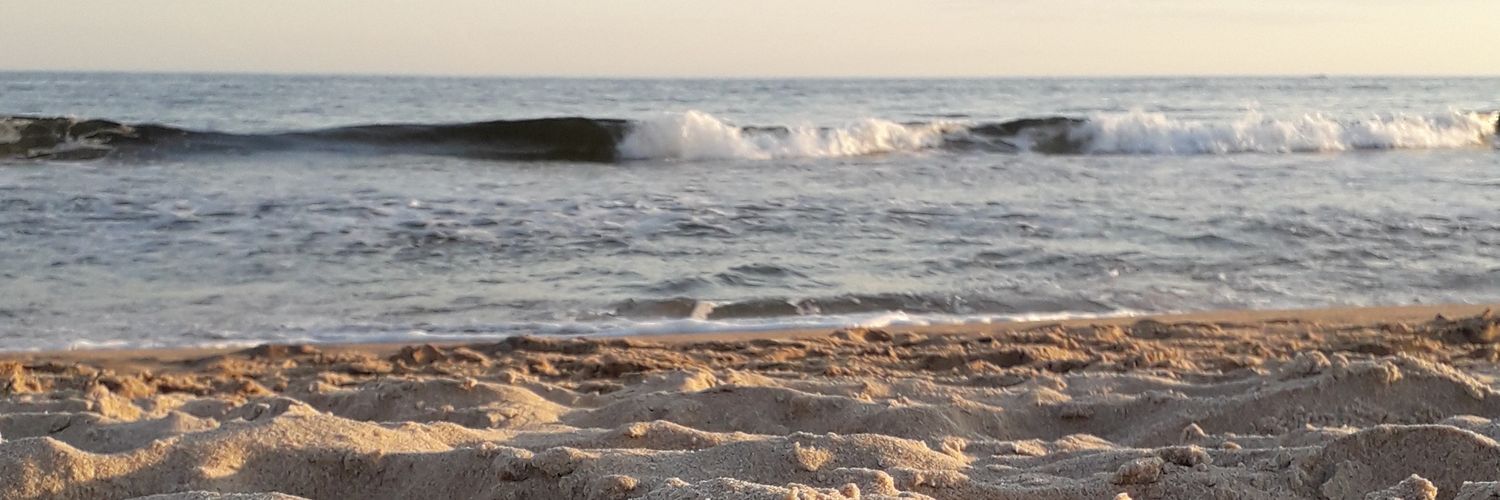 VickyCaruso4's profile banner image