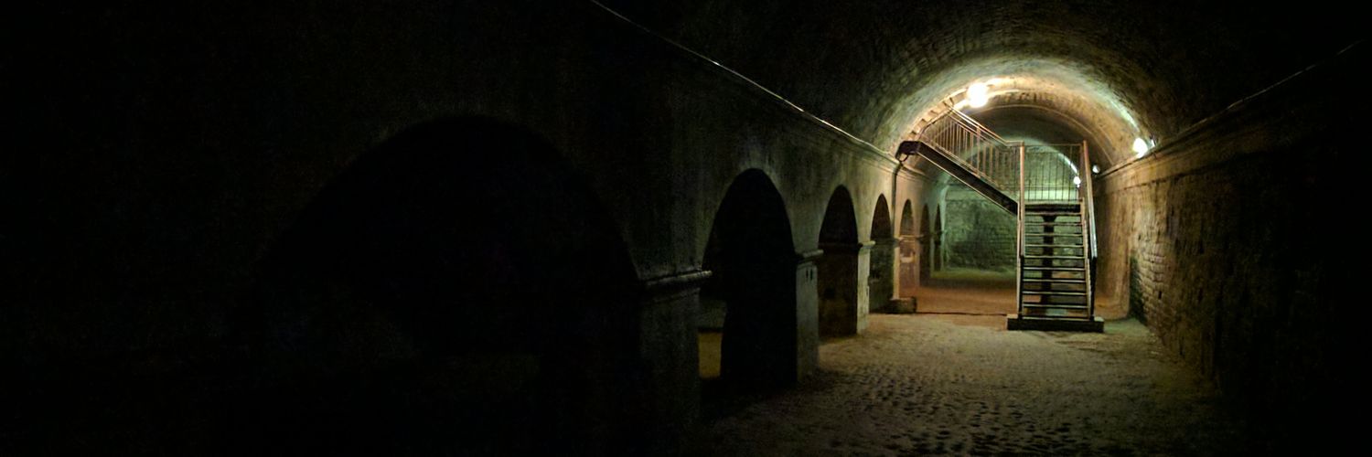 Stefan Meining banner