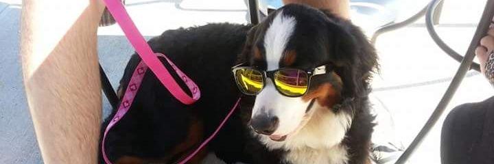 RichAulet's profile banner image