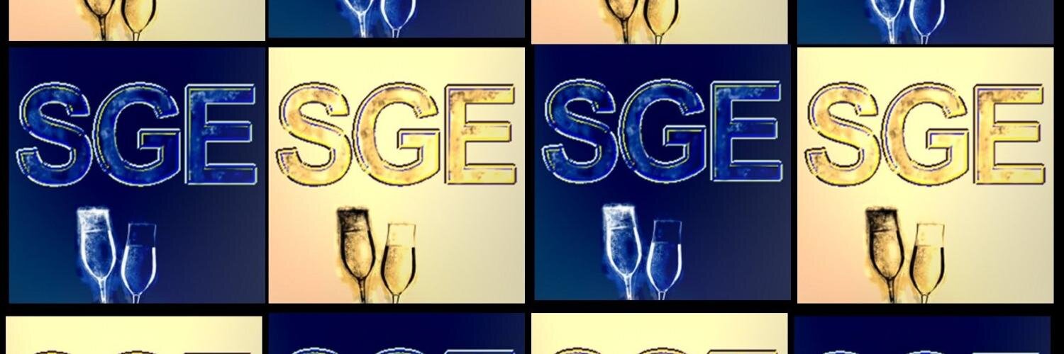 SGE Ltd banner