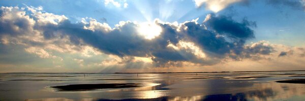 goenkzilla Profile Banner