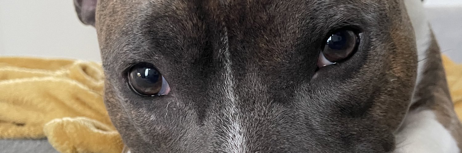srndzzz's profile banner image