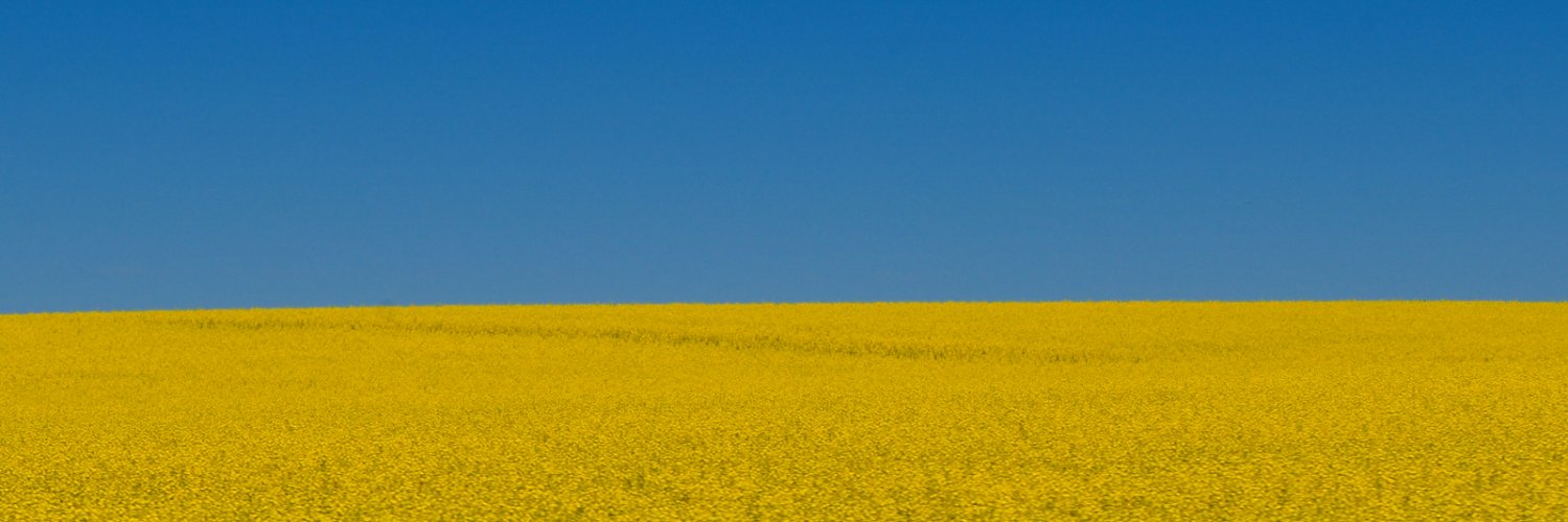 koenigflo1's profile banner image