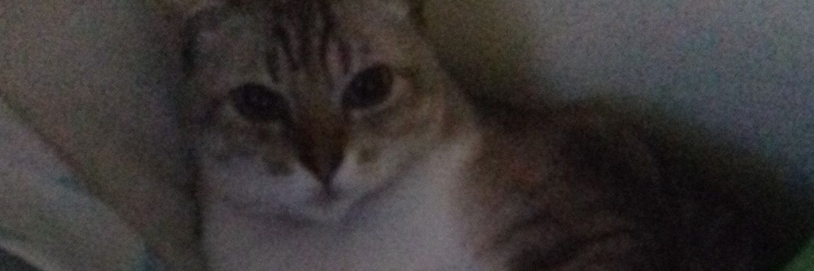 Nic_Neo_'s profile banner image