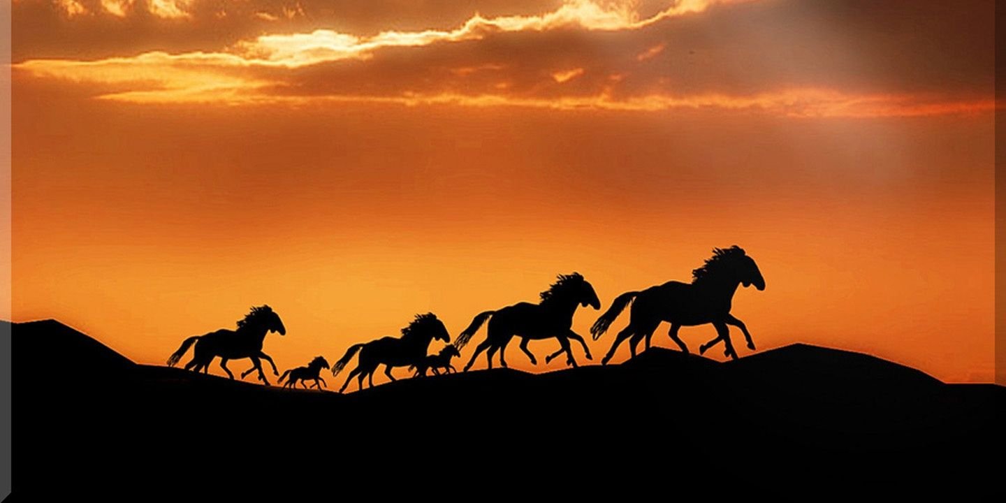 _Jawikhany's profile banner image