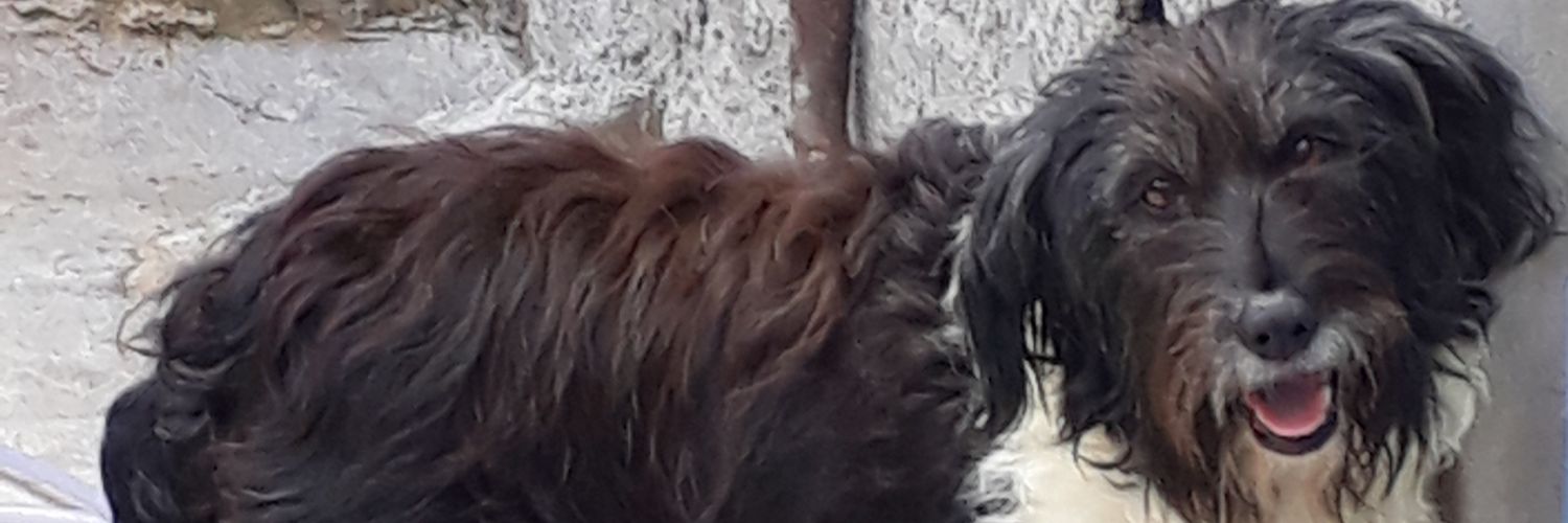LuisT4241's profile banner image